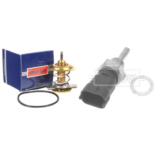 Thermostat kit - thermostat, +