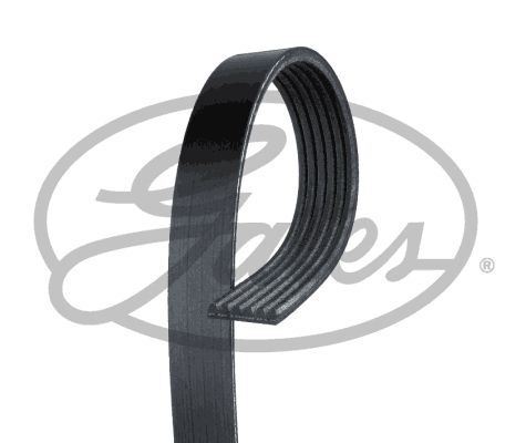 Gates 6pk2020 ribbed belt - gates, v-ribbed