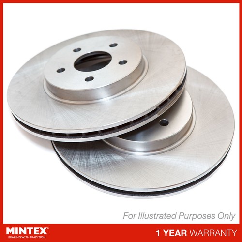 Brake discs pair - discs,