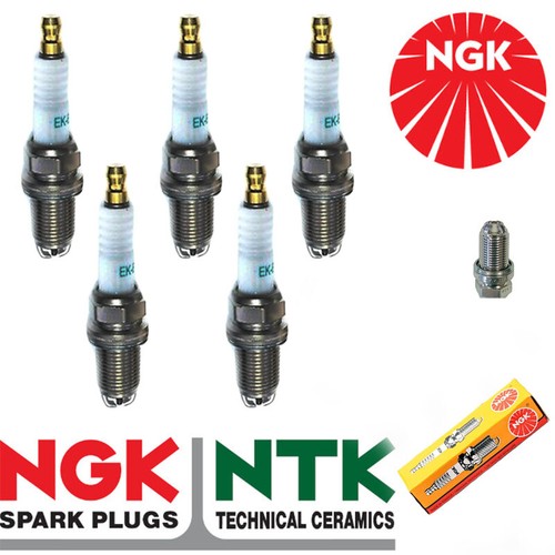 Ngk yellow box spark plug - ngk,