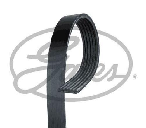 Original gates ribbed belt - v-ribbed,